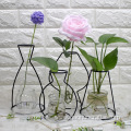 transparent hydroponic flower vase decoration ornaments